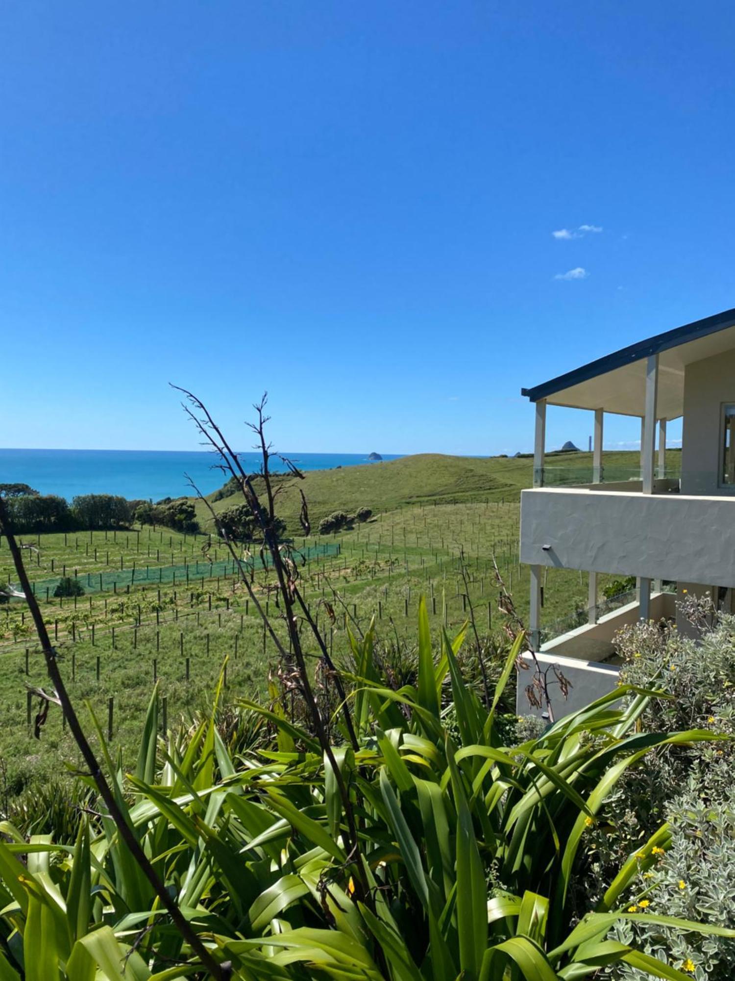 Chalets At Okurukuru New Plymouth Exteriör bild