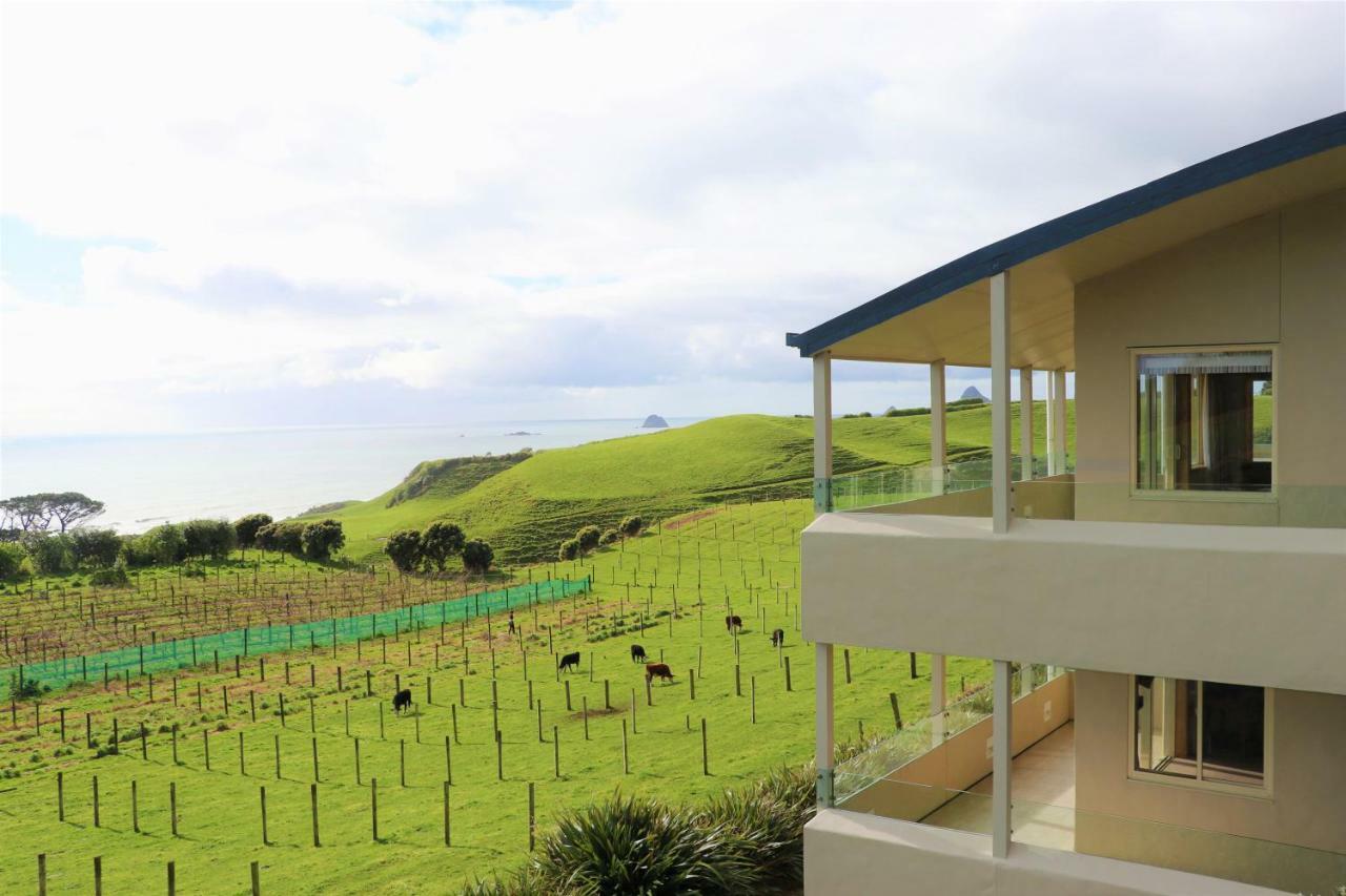 Chalets At Okurukuru New Plymouth Exteriör bild